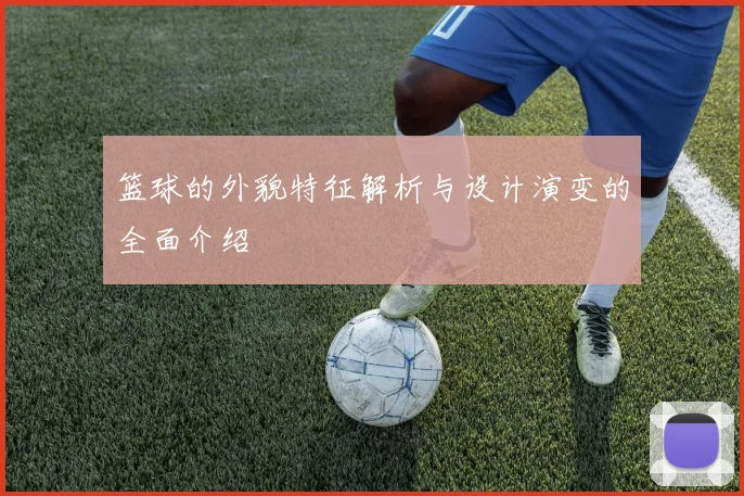 篮球的外貌特征解析与设计演变的全面介绍