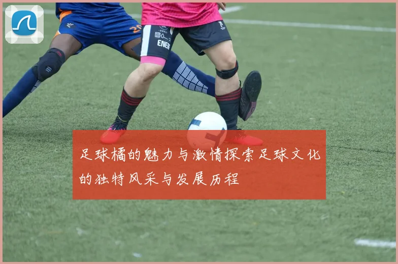 足球橘的魅力与激情探索足球文化的独特风采与发展历程