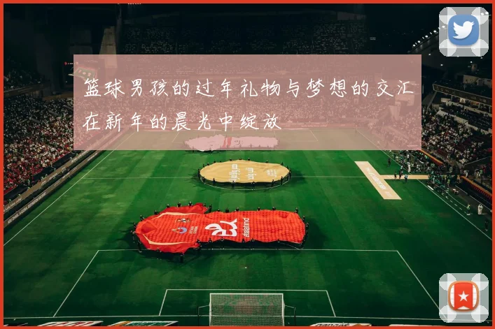 篮球男孩的过年礼物与梦想的交汇在新年的晨光中绽放