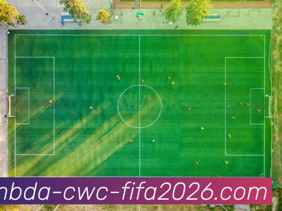 世界杯APP 封面图